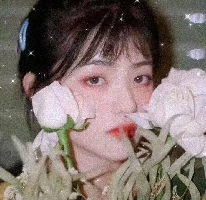 一闪一闪亮星星2023