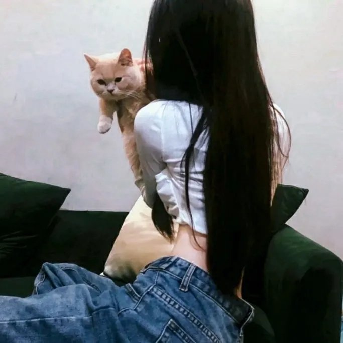 不设限通缉